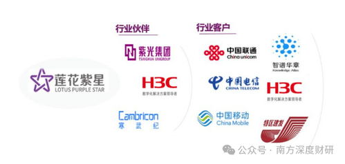 從調味品到AI新勢力 蓮花控股業績領跑同行，科技版圖再落信息技術咨詢服務關鍵一子